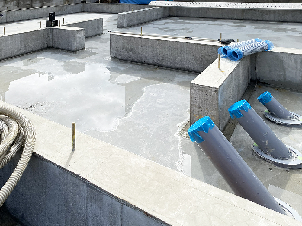 給排水管まわり（防蟻処理）